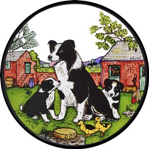 Collie Dogs with Pups