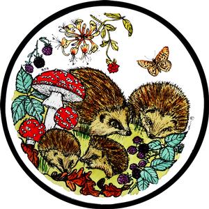 Hedgehogs