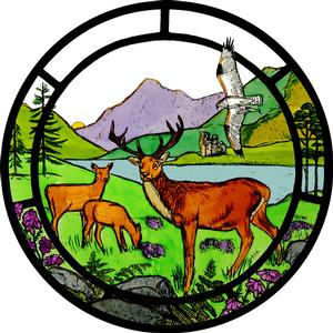 Highland Stag