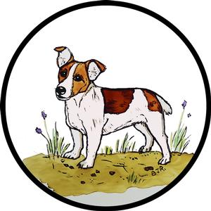 Jack Russell