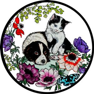 Spaniel Puppy and Kitten