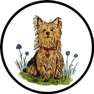 Yorkie