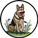 Alsatian