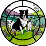 Collie and Lambs