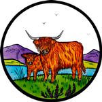 Highland Cattle