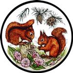 Red Squirrels