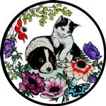 Spaniel Puppy and Kitten